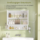 AOGLLATI Badezimmer Spiegelschrank mit LED-Beleuchtung & Steckdose 70 cm Breit Spiegelschrank Bad mit HD Spiegel  3 Farbtemperatur dimmbare