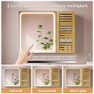 AOGLLATI Badezimmerschrank mit Beleuchtung 80×60×16cm Badezimmer spiegelschrank mit 6 Ablagefächern 4 verstellbare Ablagen